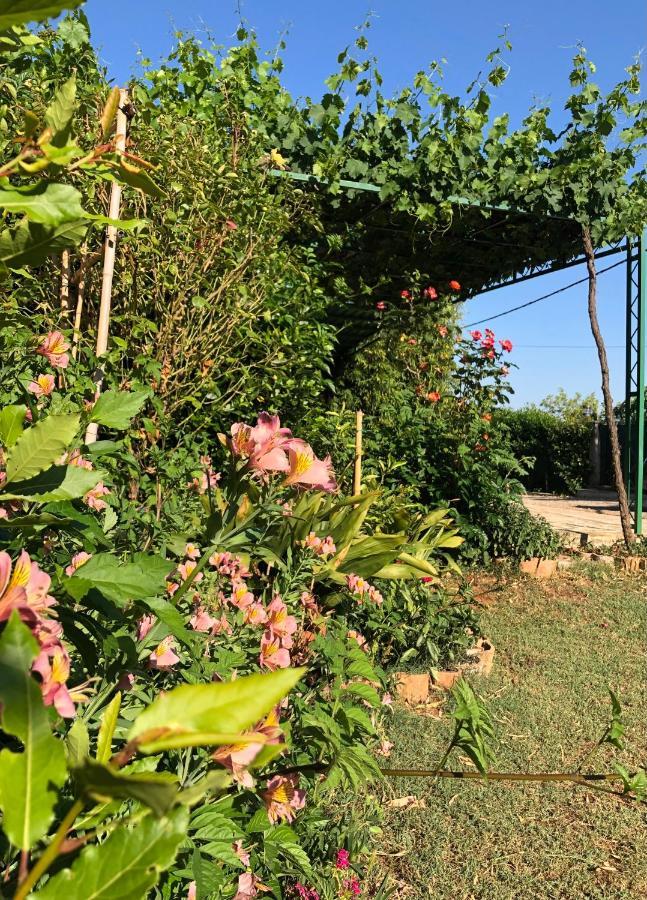 Appartamento Da Vjeri พูลา ภายนอก รูปภาพ